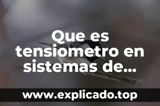 Que es sistemas concreto 3 Que es tensiometro en sistemas de riego