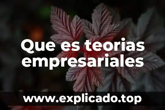 Que es la administracion de riesgos empresariales 5 Que es teorias empresariales