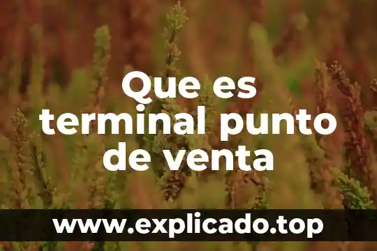 Que es venta en piso 3 Que es terminal punto de venta