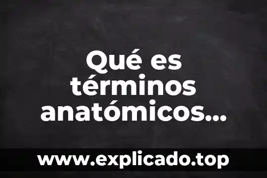 En terminos contables que es pasivo 5 Qué es términos anatómicos para los planos