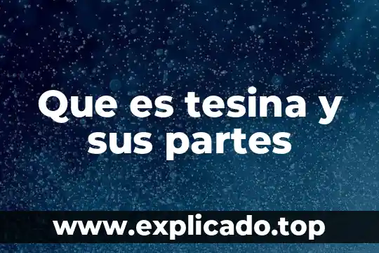 Que es el pantalla y sus partes 7 Que es tesina y sus partes