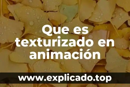 Que es la materia de animacion 3 Que es texturizado en animación