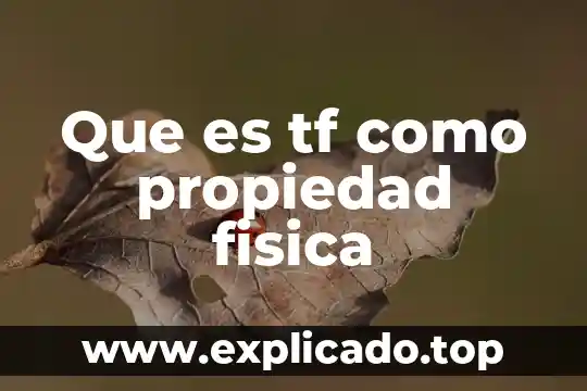 Que es magnetismocomo propiedad de la materia 6 Que es tf como propiedad fisica