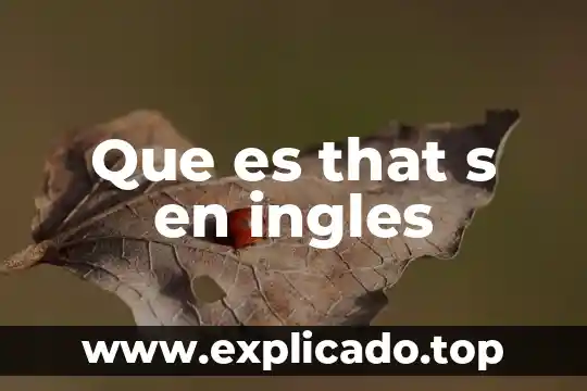 Que es un s q l informatica 8 Que es that s en ingles