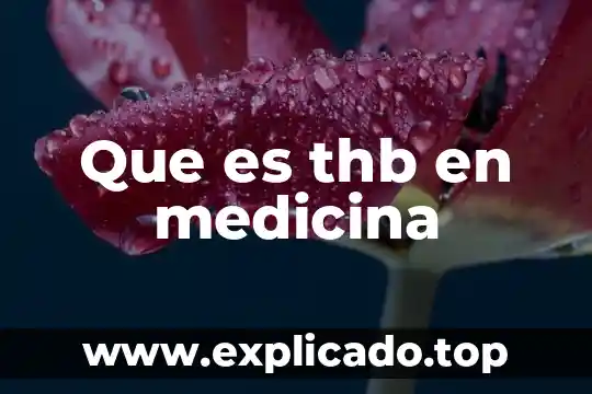 Que es codependencia en la violencia de genero 5 Que es thb en medicina