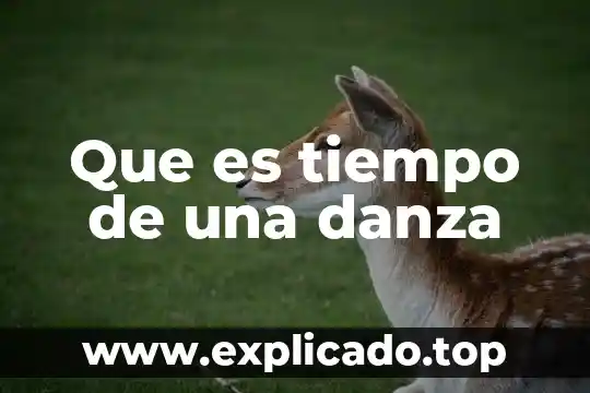 Que es un tiempo del sureste 3 Que es tiempo de una danza