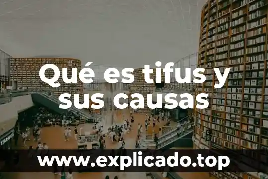 Qué es tifus y sus causas