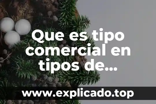 Que es tipo comercial en tipos de servicios de alimentacion
