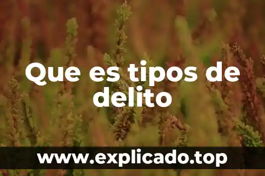Que es tipos de delito
