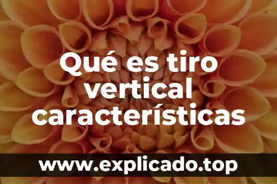 Que es una reflexión vertical en funcion racional 3 Qué es tiro vertical características