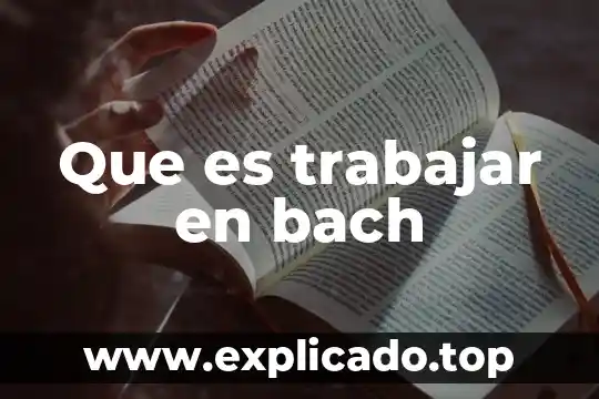 Qué es trabajar de barista 8 Que es trabajar en bach