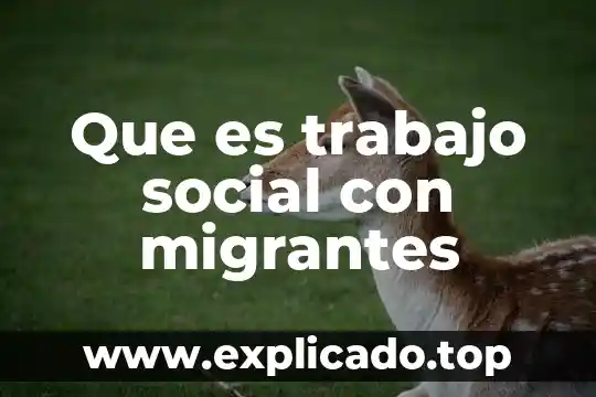 Que es derecho de las personas migrantes 3 Que es trabajo social con migrantes