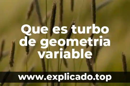 Que es una variable en probabilidad 8 Que es turbo de geometria variable
