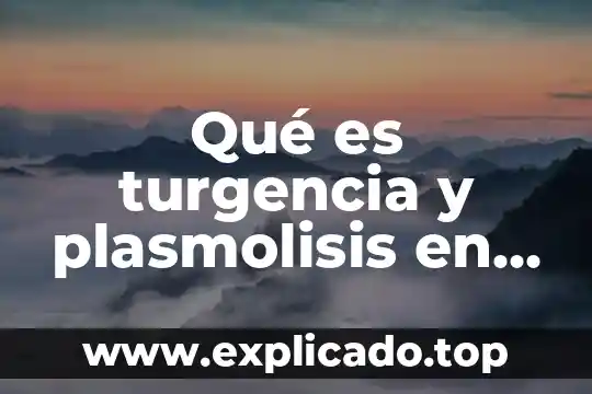 Que es sustancia citotoxica libera la celula asesina natural 3 Qué es turgencia y plasmolisis en una célula