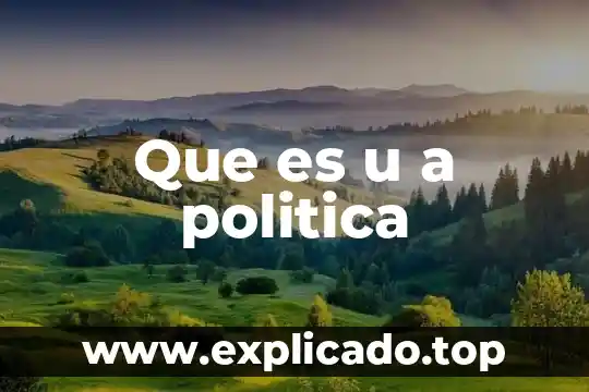 Que es u a politica