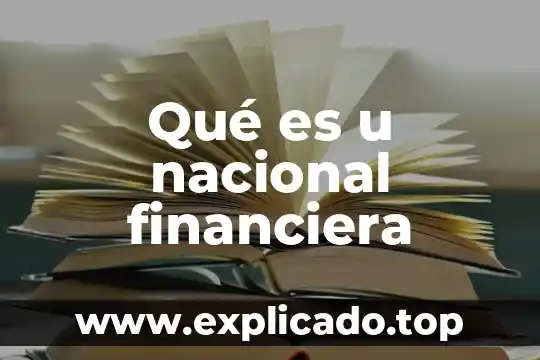 Qué es u nacional financiera