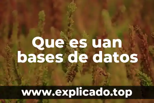 Qué es un esquema en bases de datos 7 Que es uan bases de datos