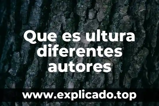 Que es un comando y los diferentes tipos de comandos 8 Que es ultura diferentes autores