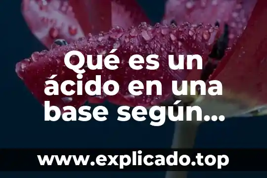 Que es ser justo segun socrates 4 Qué es un ácido en una base según Arrhenius