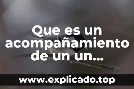 Que es el metodo de conservacion de alimento 3 Que es un acompañamiento de un un alimento