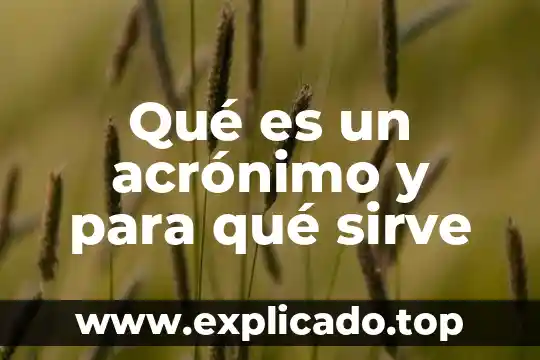 Qué es una catarina industrial y para qué sirve 8 Qué es un acrónimo y para qué sirve