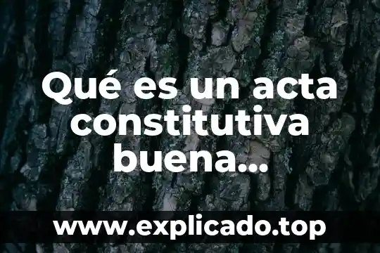 Qué es una acta constitutiva de protección civil 7 Qué es un acta constitutiva buena resolución