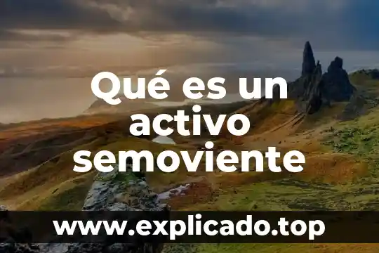 Carbon vegetal activo para que es 4 Qué es un activo semoviente
