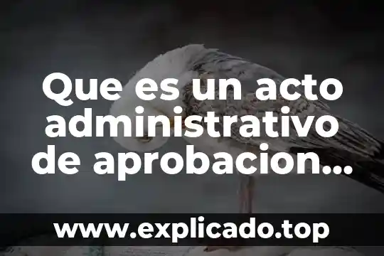 Que es un acto administrativo de aprobacion definicion