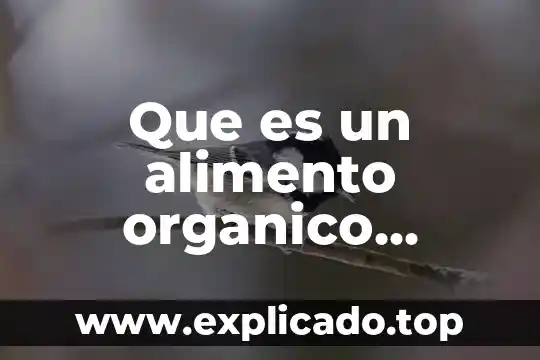 Que es un acompañamiento de un un alimento 7 Que es un alimento organico trackid sp-006