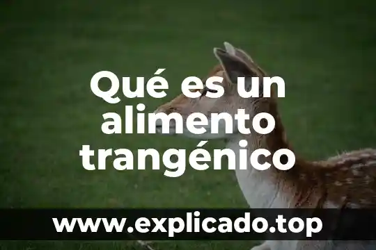 Que es una rebaja en un alimento 7 Qué es un alimento trangénico