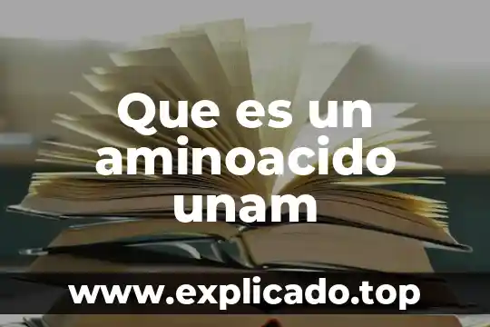 Que es wir en un plano 4 Que es un aminoacido unam