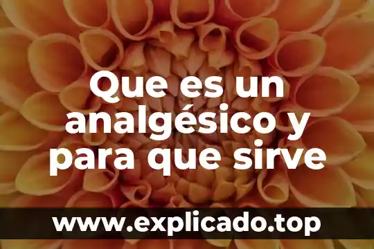 Qué es un archivero y para qué sirve 6 Que es un analgésico y para que sirve