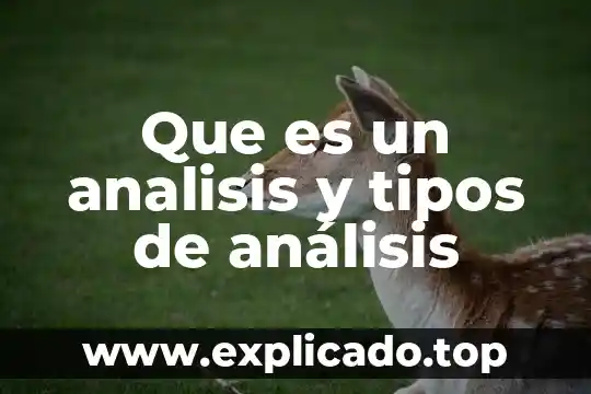 Que es un analisis y tipos de análisis