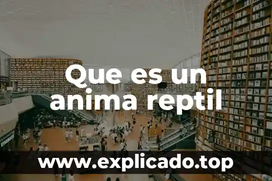 Que es la pro anima en un testamento 5 Que es un anima reptil