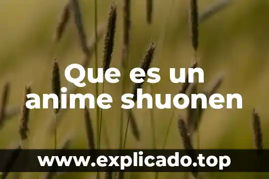 Que es un anime shuonen