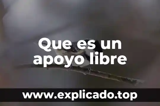 Que es apoyo en administracion 4 Que es un apoyo libre