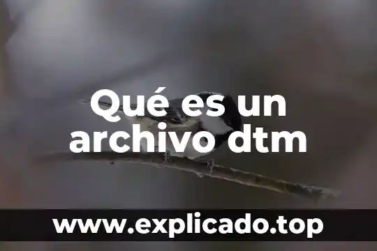 Qué es un archivo dtm