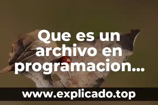 Que es el panel de archivo en publisher 5 Que es un archivo en programacion y un archivo binario