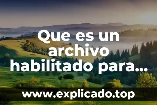 Que es un archivo habilitado para macros