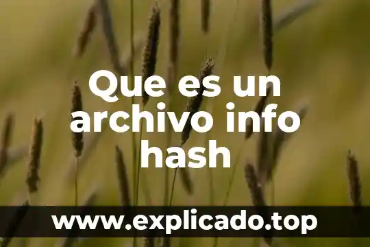 Que es un archivo info hash