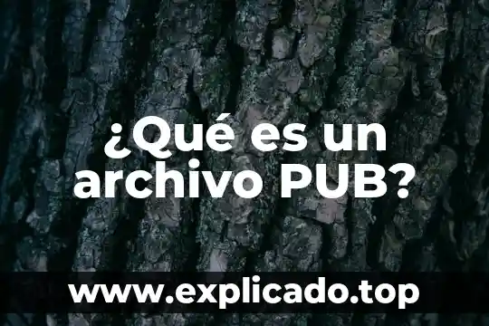 Que es un archivo netlogon 6 ¿Qué es un archivo PUB?