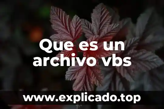 Que es un archivo vbs
