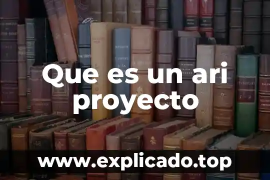 Que es ambiente de produccion en un proyecto 5 Que es un ari proyecto