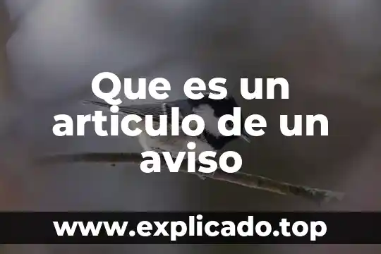 Areas en las que es importante el software 3 Que es un articulo de un aviso