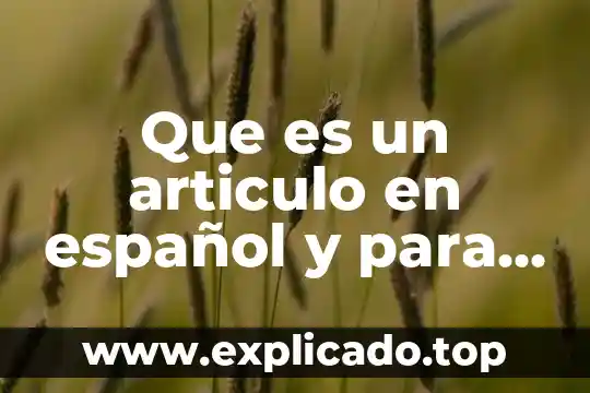 Qué es y para qué sirven las regulaciones no arancelarias 8 Que es un articulo en español y para que sirven