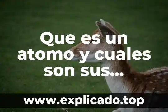 Que es un ensayo y cuales sonses partes 7 Que es un atomo y cuales son sus elementos