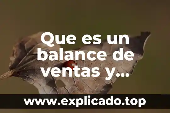 Que es una asesoria en ventas 3 Que es un balance de ventas y cobranza