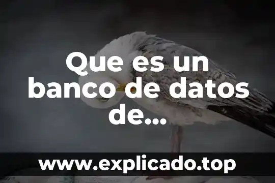 Datos demográficos que es 6 Que es un banco de datos de mantenimiento