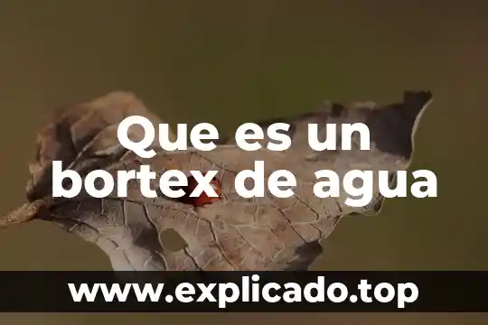 Que es un bortex de agua