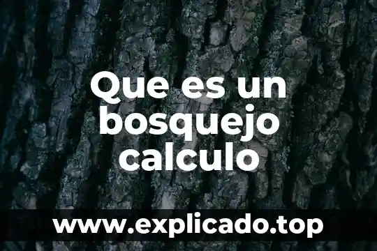 Qué es distributividad en cálculo diferencial 4 Que es un bosquejo calculo